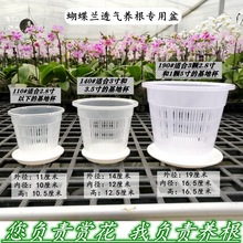 蝴蝶兰专用控根花盆铁皮石斛圆形塑料透气洋兰卡特兰定植篮生根盆