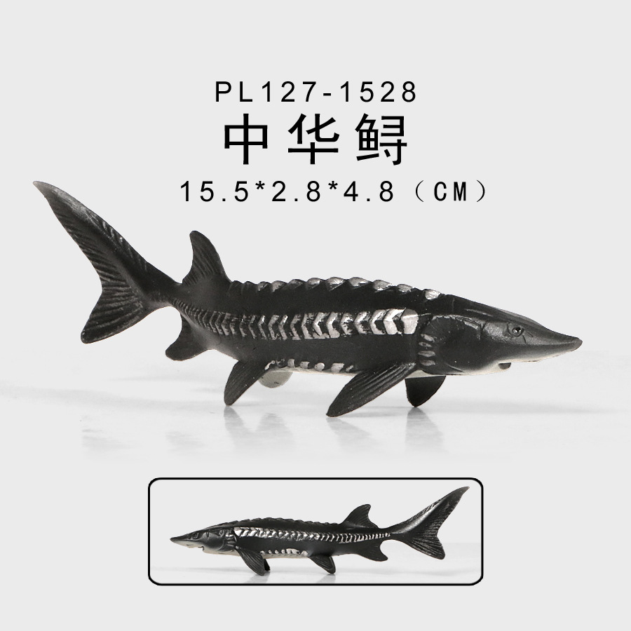 仿真观赏鱼金龙鱼鲈鱼深海鱼类实心海洋生物模型动物摆件