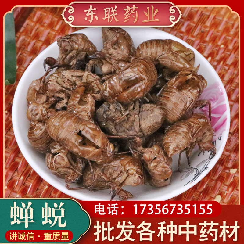 蝉蜕批发中药材知了壳 昆虫蝉蜕 水洗蝉衣供应量大从优代发货