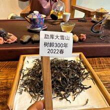 2022年春勐库大雪山300年古树普洱茶家族传承古茶园