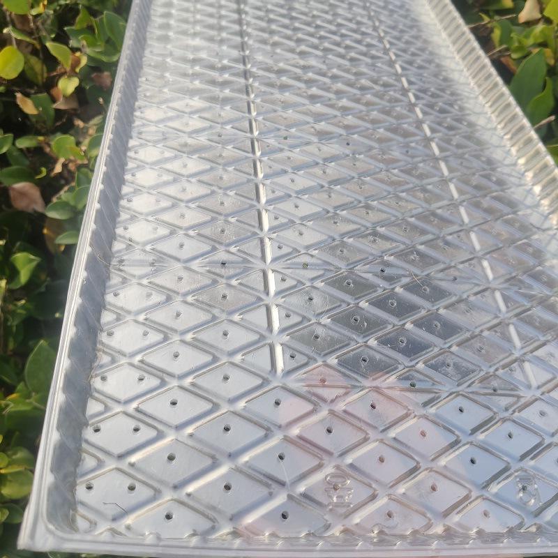 机插育秧盘菱形平盘软盘水稻苗寸育苗盘透明加厚免揭插秧机盘