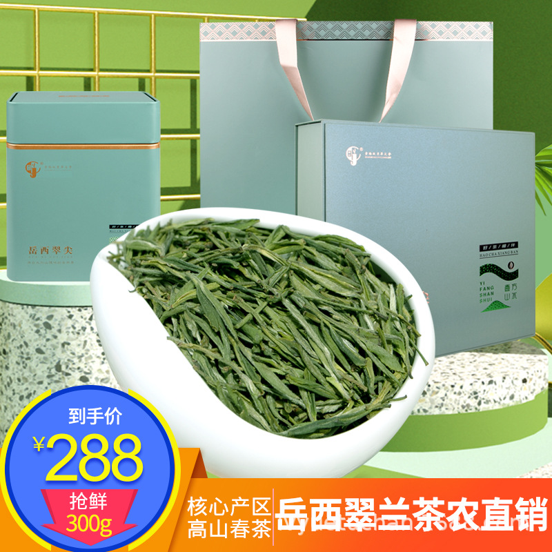 2024新茶安徽岳西翠兰明前一级高档绿茶300g礼盒装茶叶正品包邮