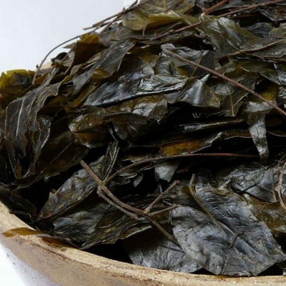 苦丁茶新茶贵州特产野生苦丁茶余庆小叶苦茶苦中甘甜毛青包邮