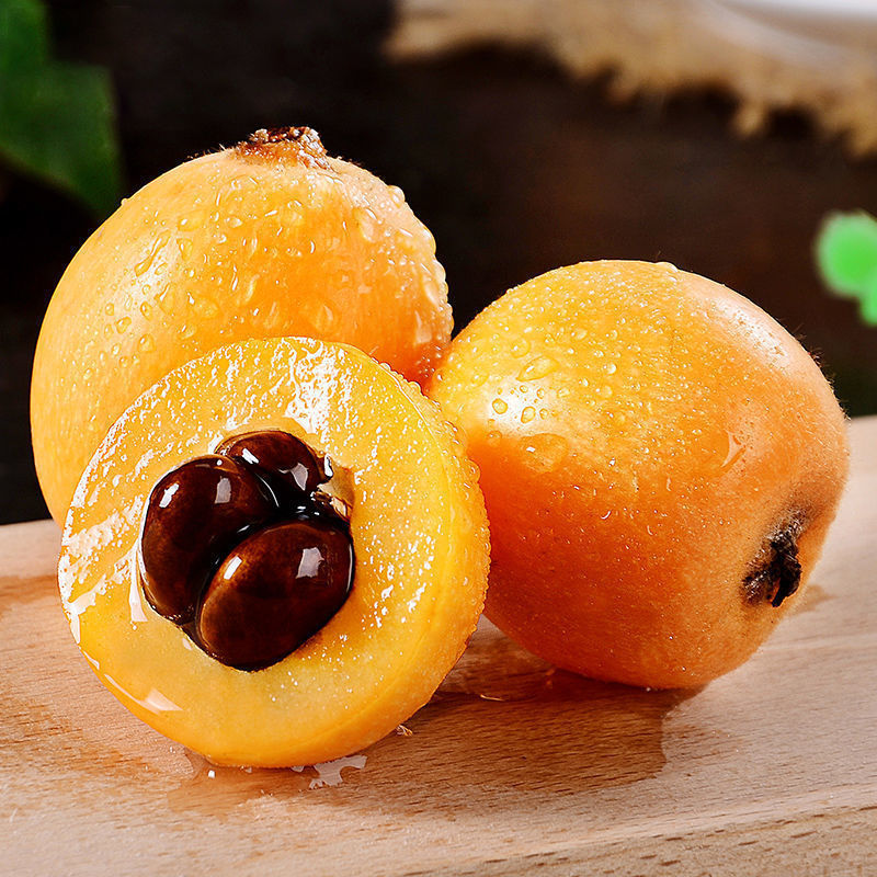 四川米易枇杷果新鲜水果现摘甜琵琶果孕妇小孩应季当季水果批发