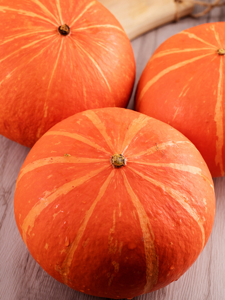 红南瓜甘肃蔬菜南瓜灯笼装饰摆件金丝板栗农家自种煲汤辅食包邮