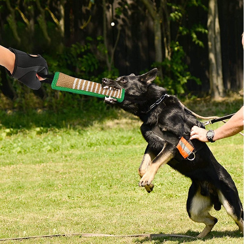 训犬绿边咬棒德牧训练成犬德牧马犬叼棒咬枕扑咬棒dog bite stick