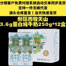 新疆西牧天山3.6g蛋白纯牛奶盒装整箱250ml*12盒支持一件代发西牧