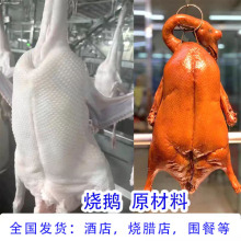 新鲜现杀清远黑棕鹅全国批发烧鹅醉鹅焖鹅烧腊专用养殖场直销