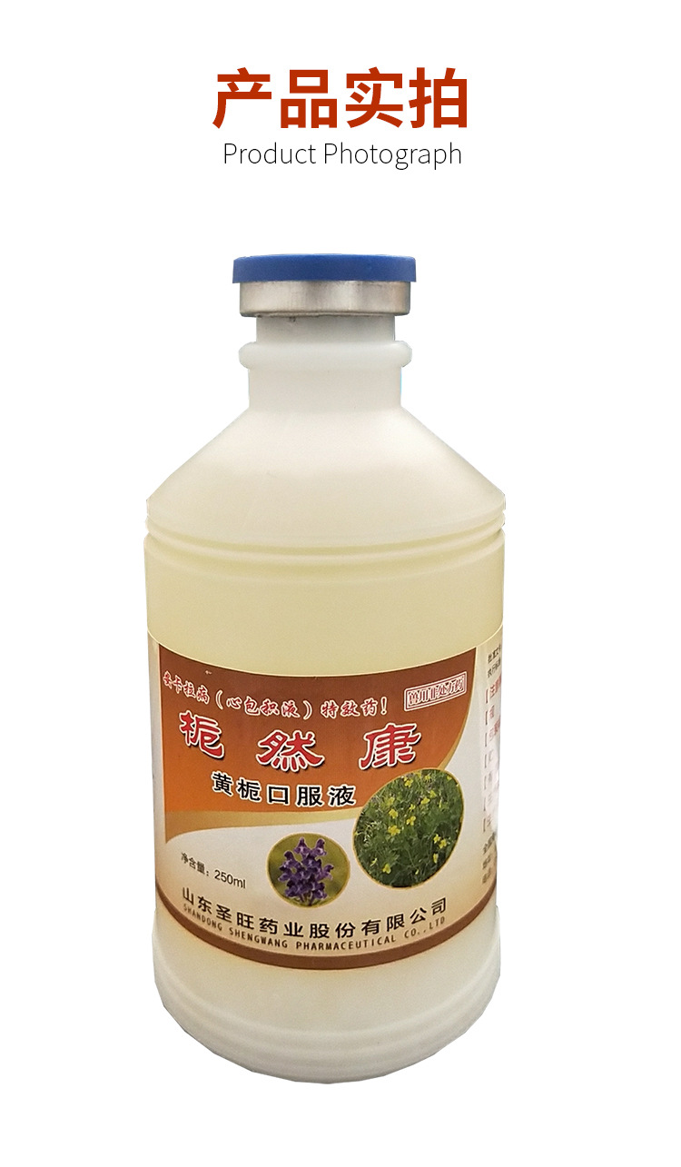 兽用黄栀口服液安卡那病 心包积液 甩鼻呼吸道病清热解毒凉血止痢