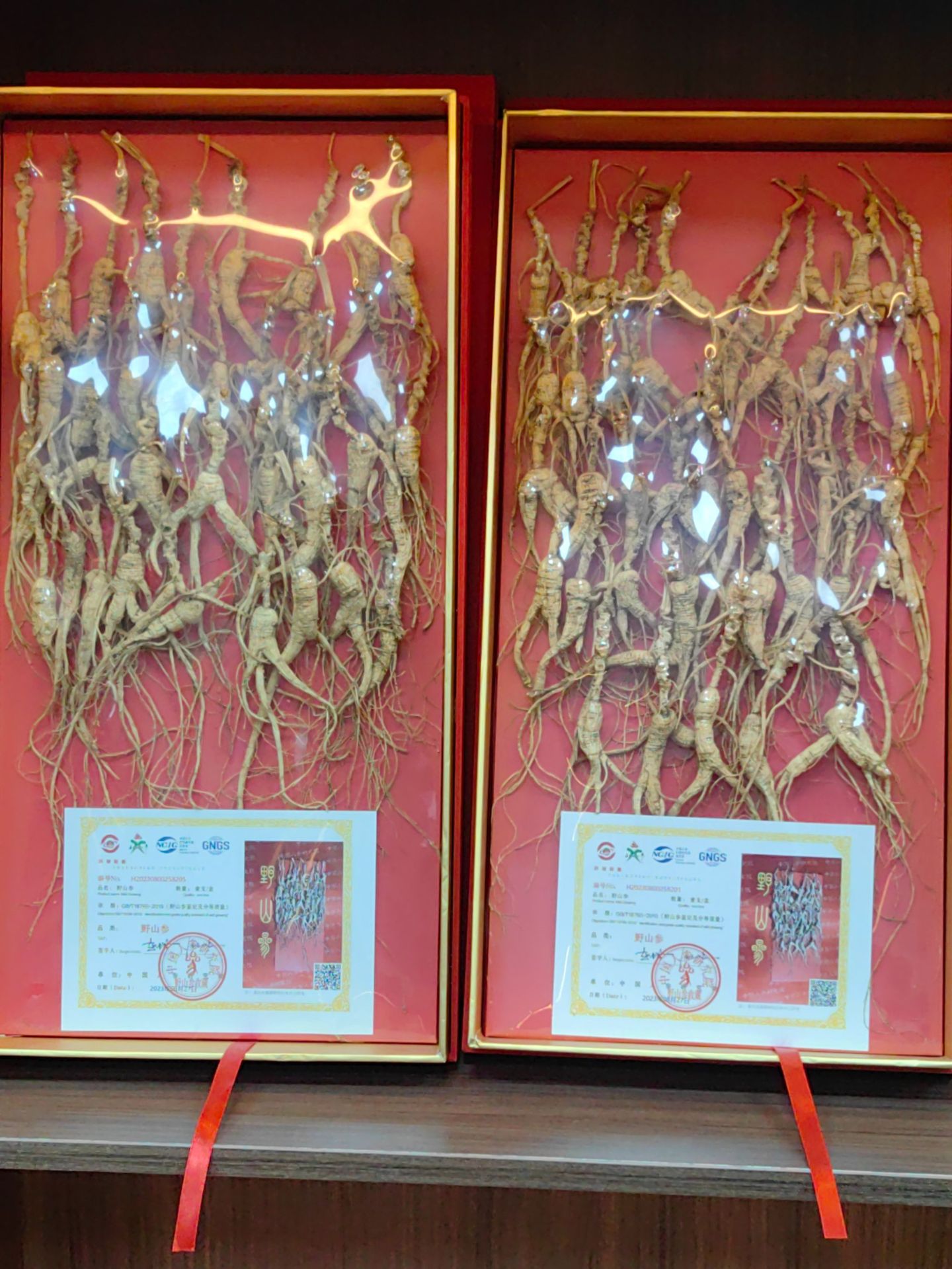 林下参鲜人参干参东北长白山人参20-35年左右煲汤泡酒