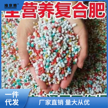 缓释肥家用型种花肥料花卉农用颗粒蔬菜树化直销氮磷钾营养复合肥