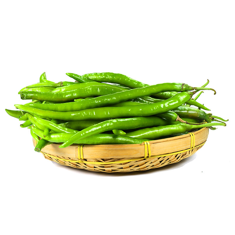 【厂货通】青线椒3斤 当季新鲜二荆条香辣椒长尖椒青辣椒蔬菜代发