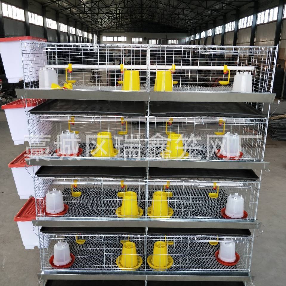 厂家批发育雏鸡笼h型小型鸡笼加粗加密蛋鸡育雏笼