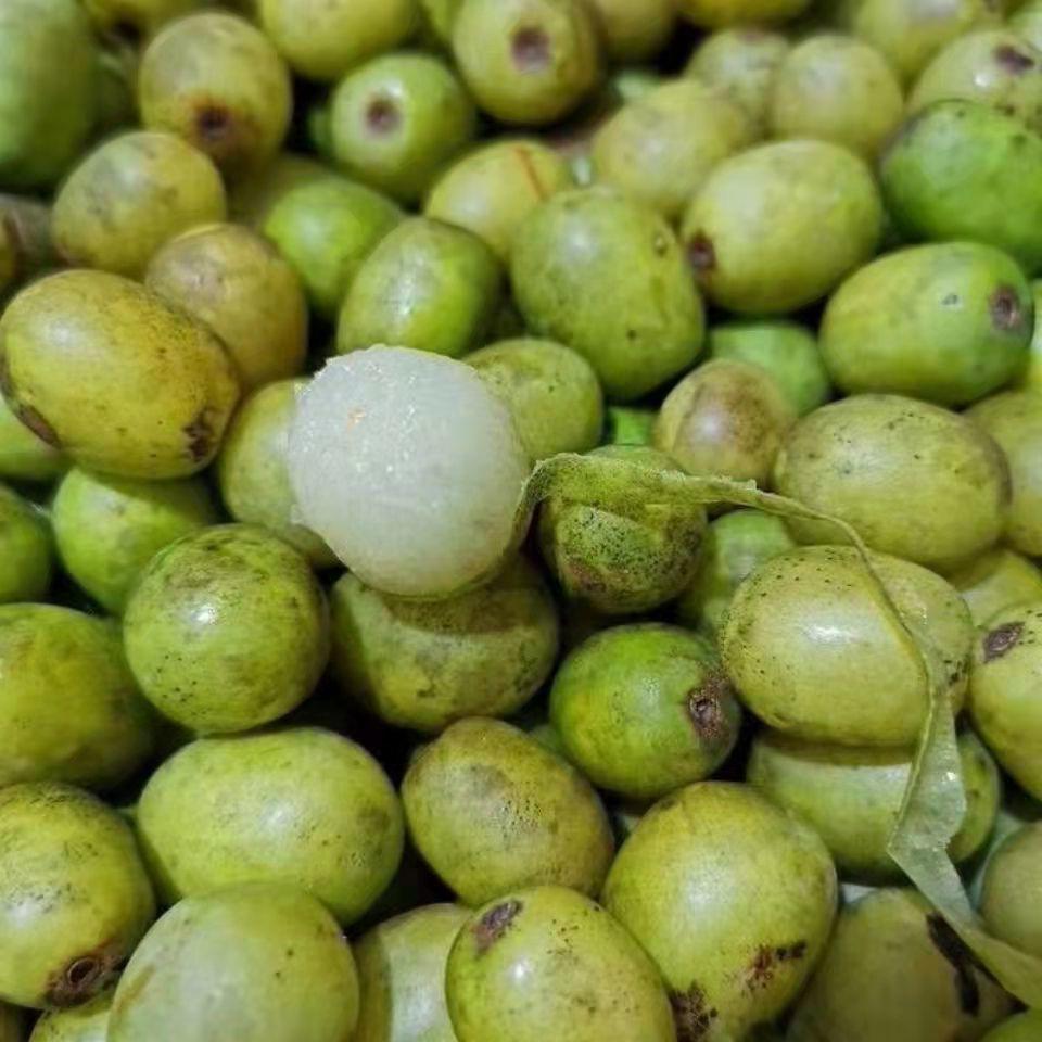 南酸枣 野生新鲜现摘酸枣五眼果六眼通鼻涕果 青黄酸枣