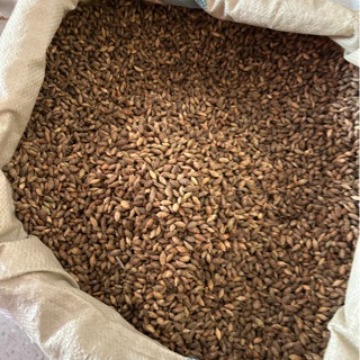 批发亚麻子亚麻籽胡麻子胡麻籽-阿里巴巴