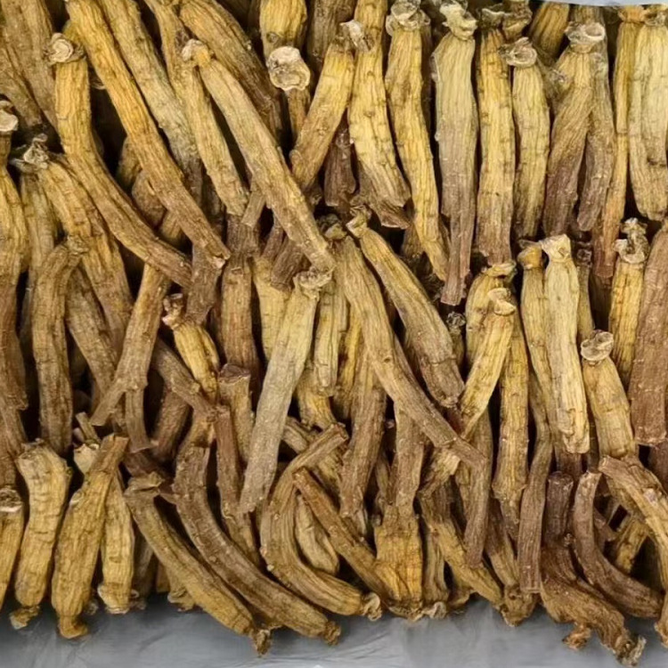 东洋参长期货源充足长白山东洋参年份足全国包邮一件代发足干无糖