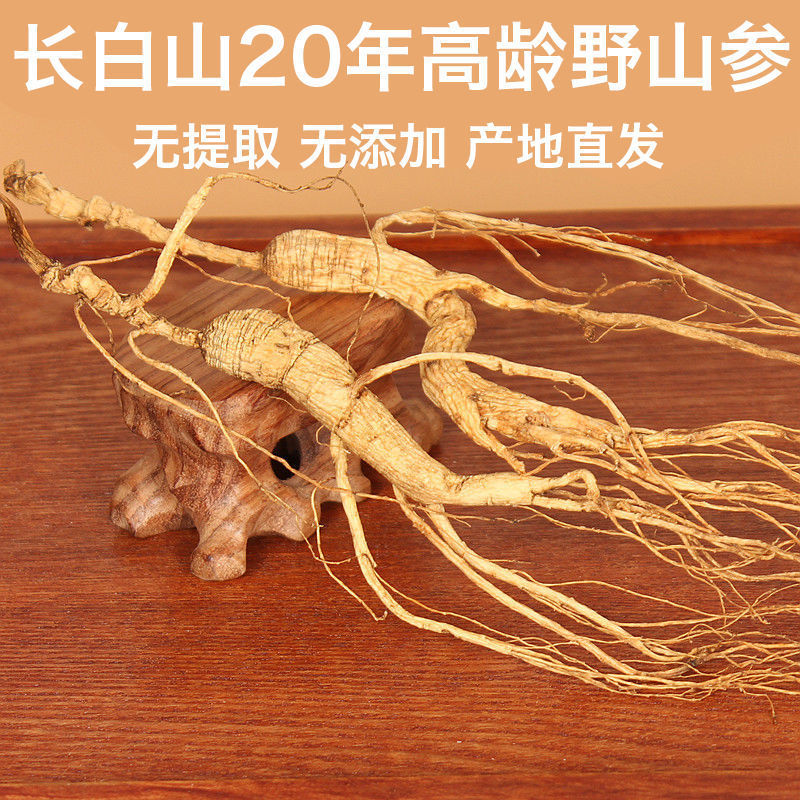 东北长白山人参野山参林下参干野生山参吉林野生人参