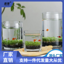 桌面微景缸水草缸水培缸生态瓶创意DIY居家水草种子绿植造景鱼缸