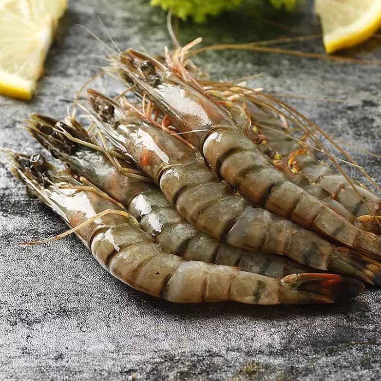 厂家批发东山本港黑虎虾鲜活冷冻大虾新鲜大虾海鲜水产速冻