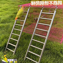 宠物爬梯鹦鹉攀爬梯不锈钢梯子游戏云梯大型梯子鸟玩具用品独立站