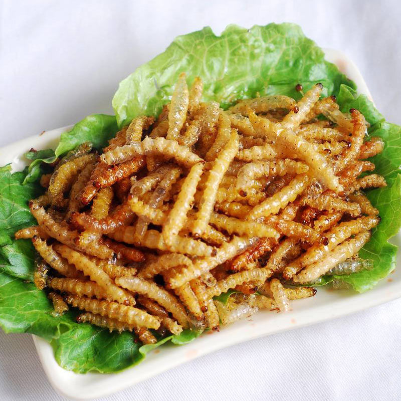 云南傣族美食油炸竹香虫香酥竹蜂昆虫竹蛹竹节虫