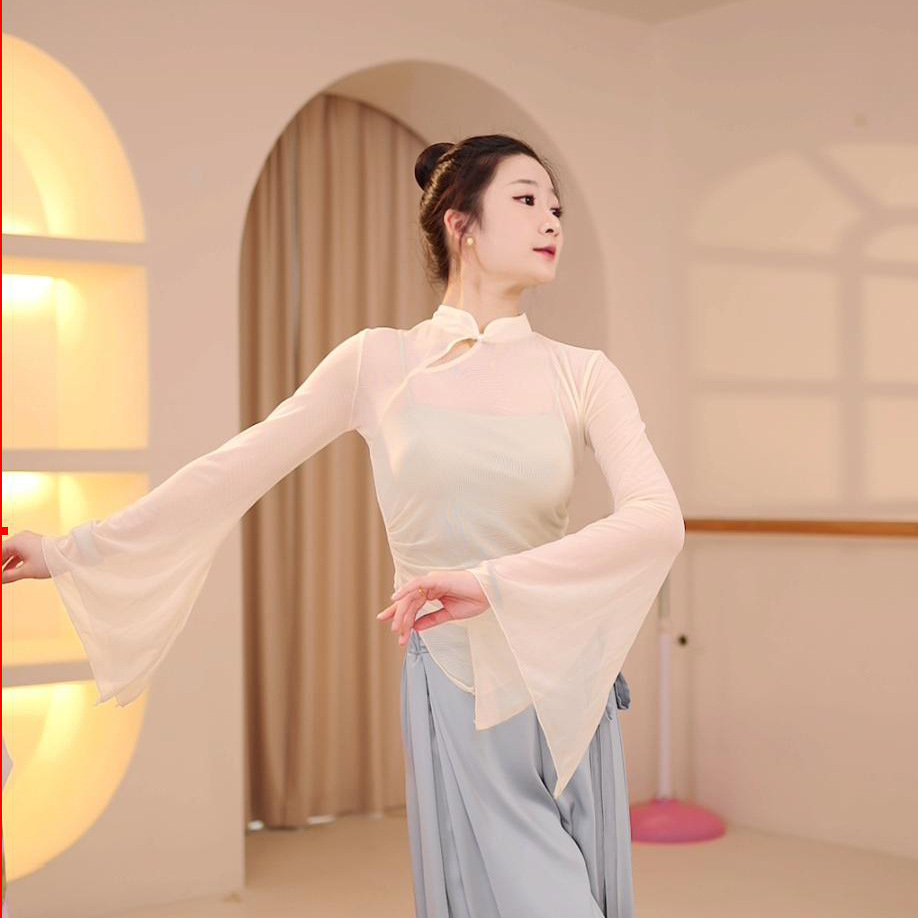 古典舞身韵纱衣女春夏新款舞蹈形体练功服中国舞艺考上衣演出服装