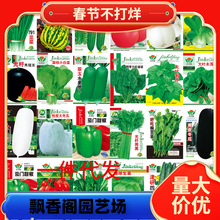 一件代发蔬菜种子四季播盆栽阳台庭院香菜青白菜萝卜生菜小葱菠菜