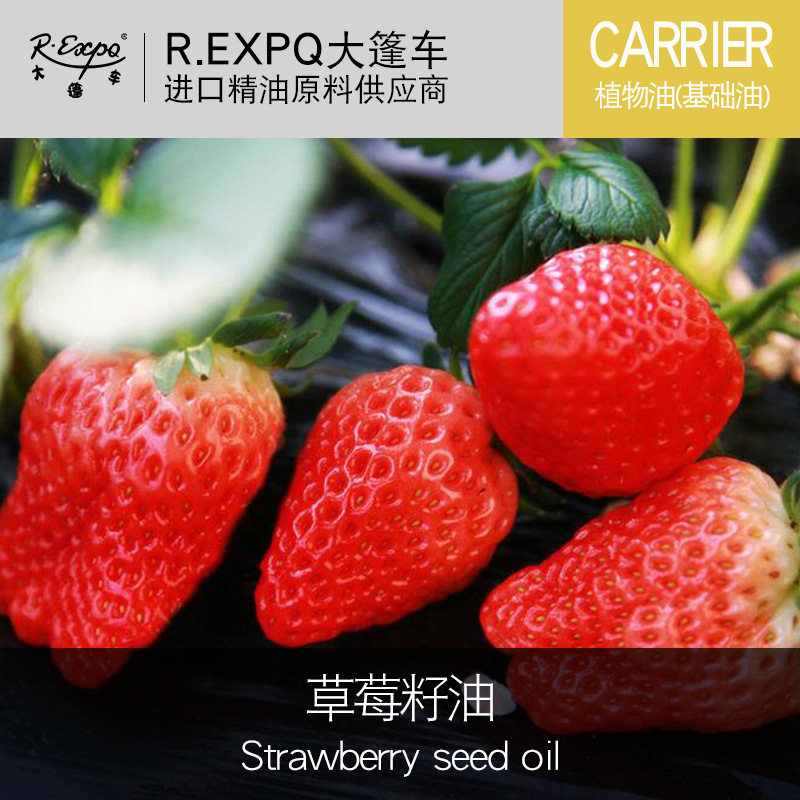 草莓籽油 波兰原料批发 身体按摩植物基础油 美容院适用spa精油