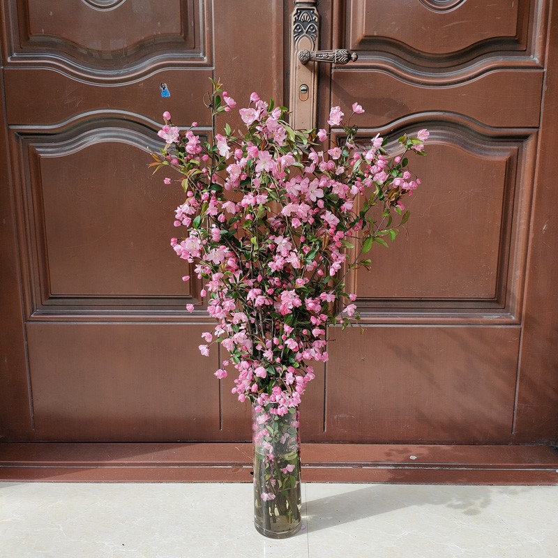 干枝垂丝海棠泡水开花鲜切花枝海棠干支花遇水开花插花年宵花植物