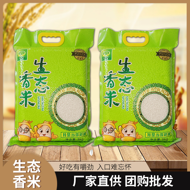 生态香米厂家直供批发团购家用大米香米做饭煮粥当季新米5kg商用