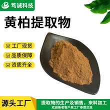 SC工厂 黄柏提取物 10:1 黄柏粉 黄柏浸膏粉 水溶黄柏粉 现货