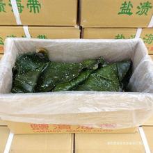 盐渍海带头厚无沙海带丝海带根片昆布火锅食材非干货毛重5斤