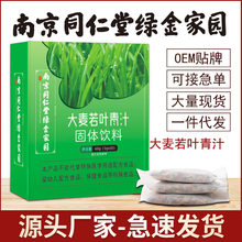 现货批发 南京同仁堂大麦若叶青汁 代餐青汁粉盒装60g 量大从优