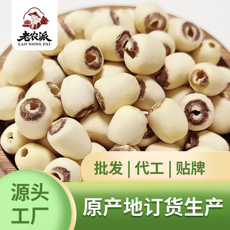 莲子干货去芯莲子磨皮小粒白莲 500g百合干工厂新货批发 贴牌代工