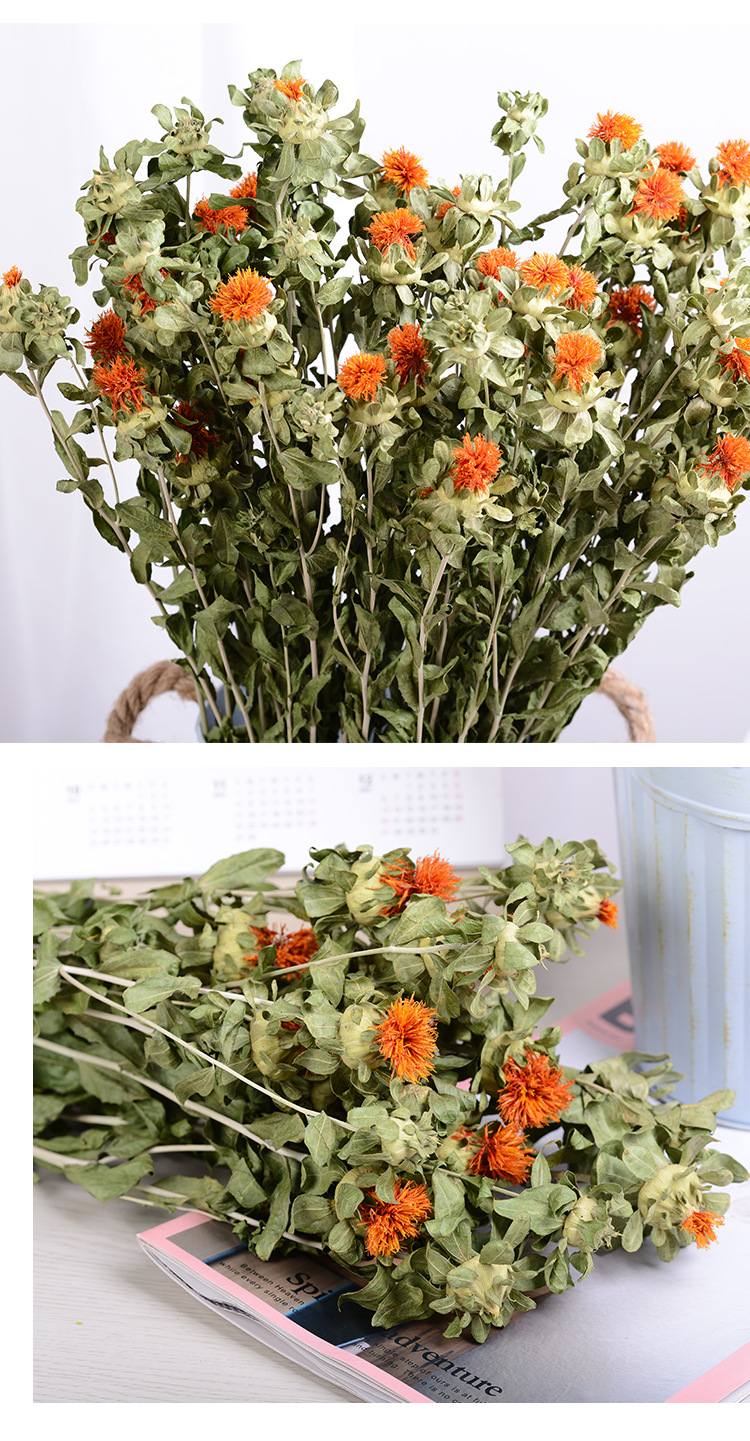 云南永生花橙菠萝干花直供居家装饰七夕情人节礼物拍照摆设道具