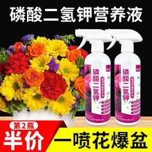 磷酸二氢钾肥料溶液花卉叶面肥花肥家用养花植物通用型复合肥