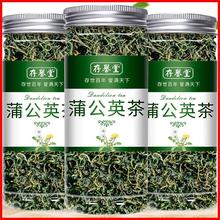 蒲公英茶材新鲜散茶官方旗舰店干草不级野生浦公英叶根