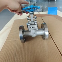锻钢系列 不锈钢闸阀 截止阀 美标锻钢阀 法兰整体锻钢阀