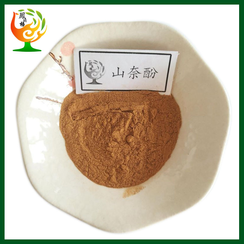 山奈酚10% 山柰提取物 山柰酚-3 山柰黄酮醇 原料供应 厂家现货