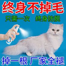 猫咪掉毛克星不掉毛终身防脱毛喷剂保护毛发不掉毛不打结巩固毛发