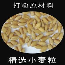 小麦面粉原味5斤白面小包小麦粉农家自磨饺子包子馒头1/2/3斤厂家