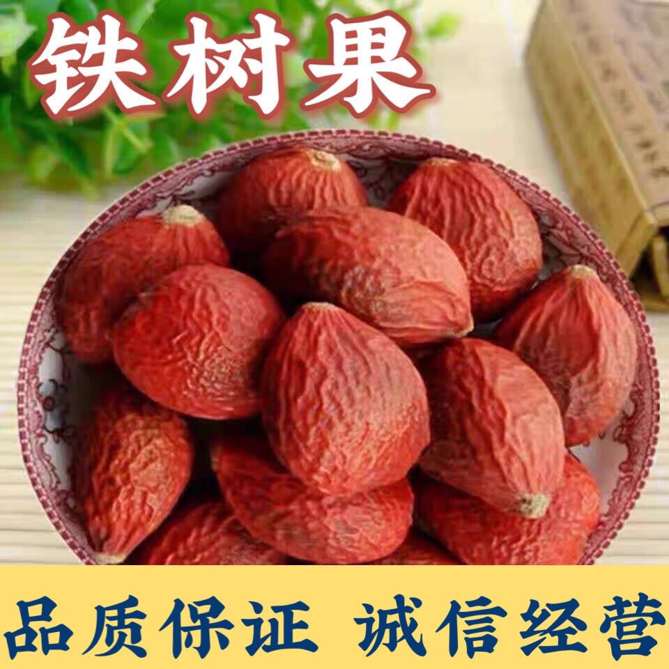 铁树果 铁树果 铁树籽 凤凰蛋苏铁果 铁树果子 包邮-阿里巴巴