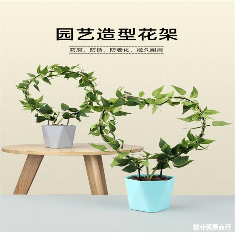 跨境爬藤架子室内心形架铁线莲山乌龟攀爬架绿植支架diy铁艺花架