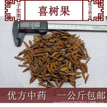 喜树果1000克18包邮产地云南红河6月产新千丈树水栗子天梓树中药