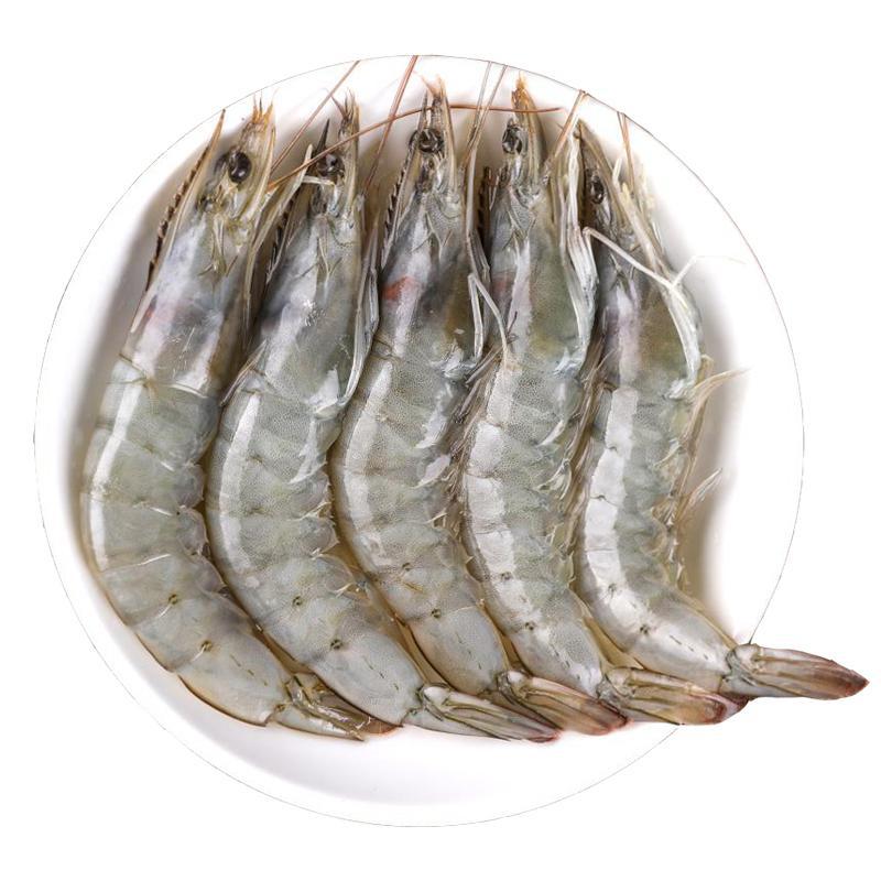 浪海情【官旗】赤道大虾厄瓜多尔桑塔白虾鲜甜冻3040/1500g-阿里巴巴