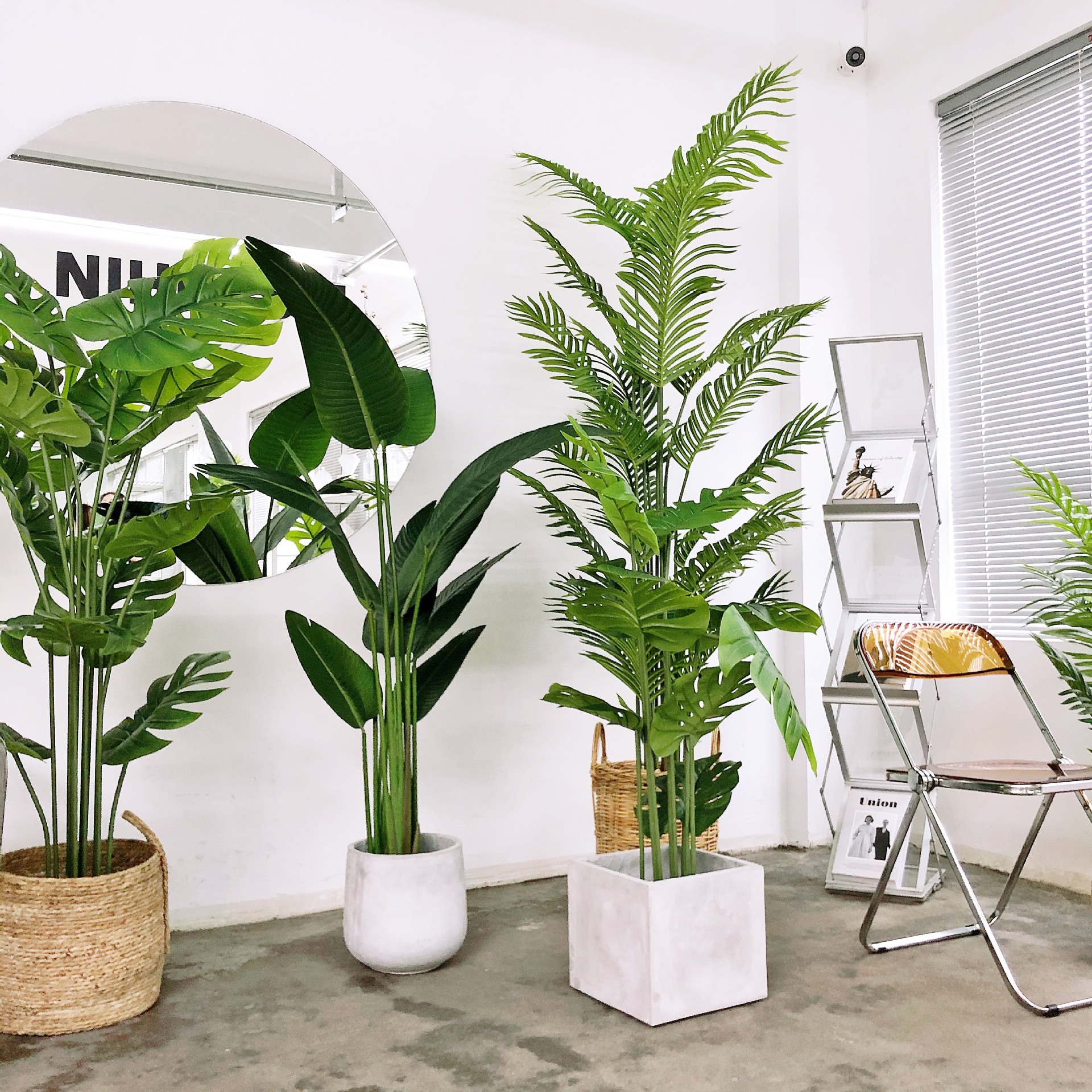 园林景观设计有限公司抖绿园林|2年 |主营产品:仿真棕榈大树;绿植盆栽