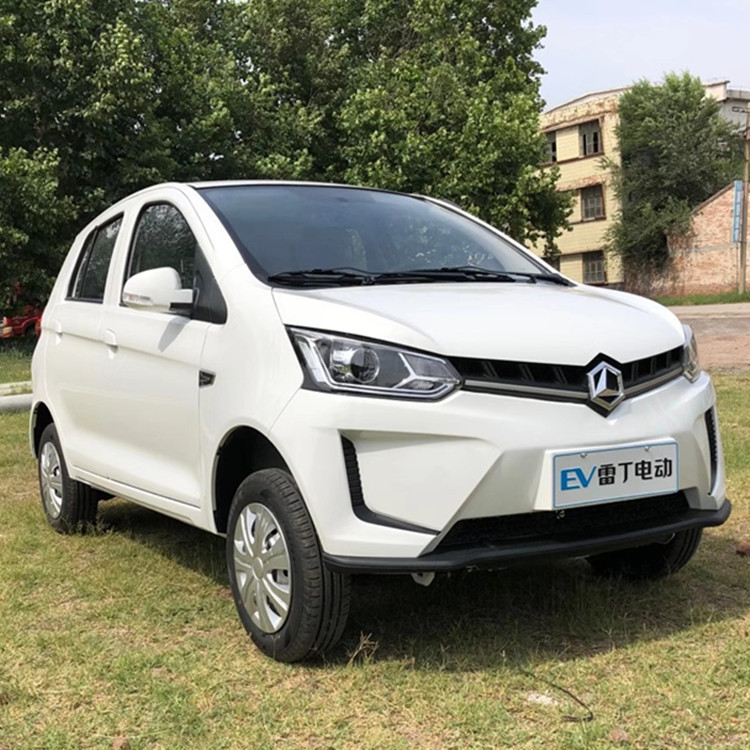 雷丁d80电动汽车 油电两用电动四轮车成人 家用接送孩子代步车