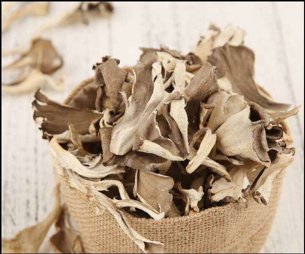 栗蘑迁西2021年新栗蘑干野生栗蘑500g灰树花干货灰栗树蘑菇菌新鲜