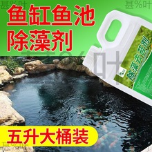 鱼池用鱼缸除藻剂去苔剂青苔清除剂去除绿水褐藻绿藻黑毛藻灭藻剂