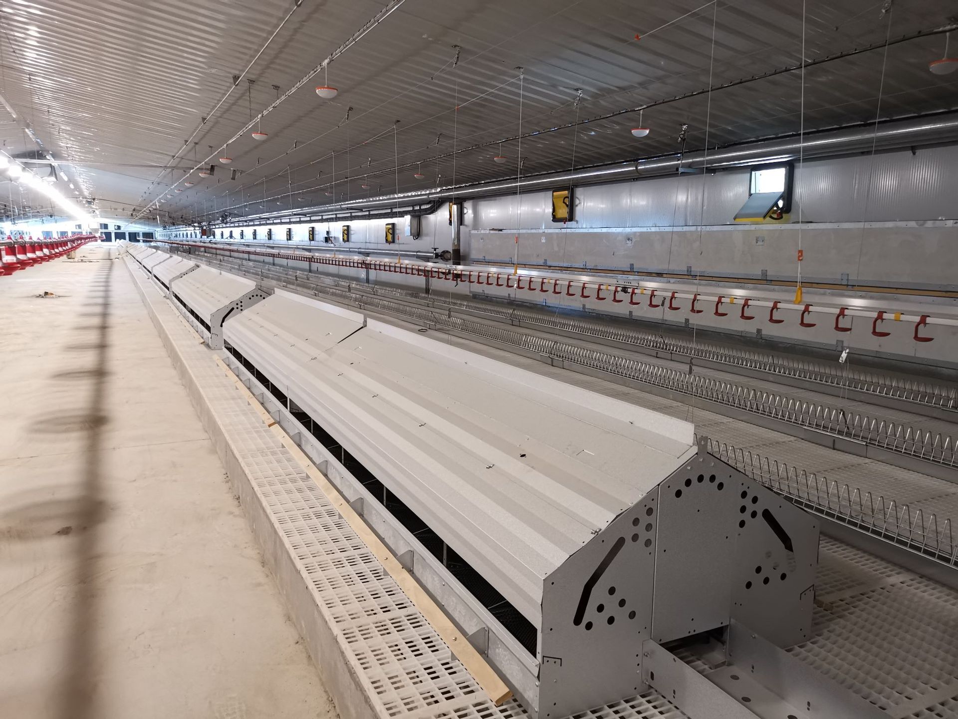 小窝蛋箱 鸡窝蛋箱 自动产蛋箱 镀锌板小窝蛋箱